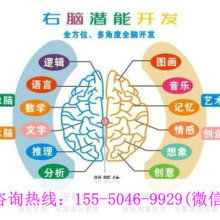 廈門(mén)學(xué)之源科技開(kāi)發(fā)公司 專(zhuān)注早教教材與幼教產(chǎn)品，引領(lǐng)信息技術(shù)咨詢(xún)服務(wù)