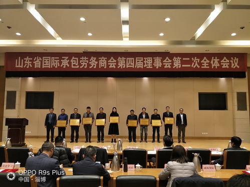 山東省對外承包工程行業(yè)先進單位殊榮的背后 實力彰顯與責任擔當